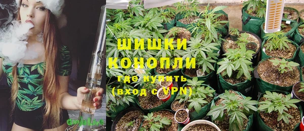 гидра Алексин