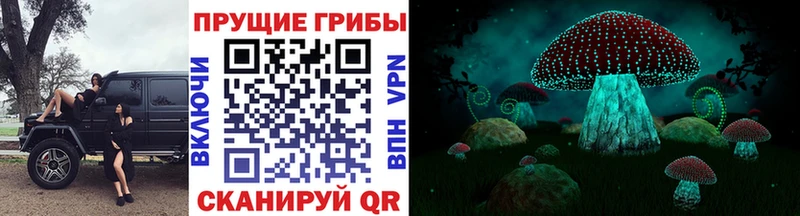 Псилоцибиновые грибы мицелий  Камышин 